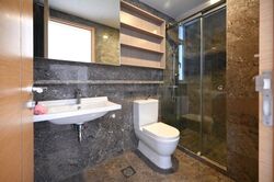 Suites @ Cairnhill (D9), Apartment #462564381